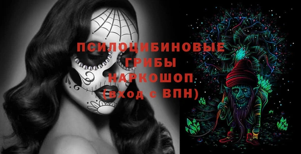 ГАЛЛЮЦИНОГЕННЫЕ ГРИБЫ Саяногорск