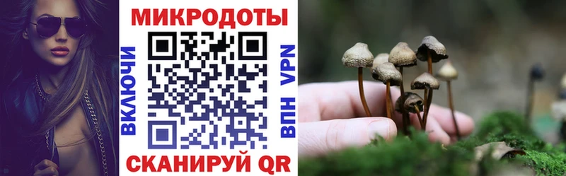 Псилоцибиновые грибы мицелий ОМГ ОМГ сайт Губкинский